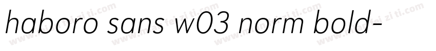 haboro sans w03 norm bold字体转换